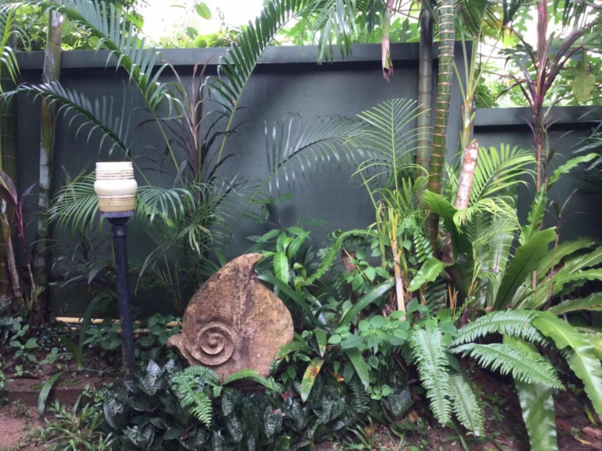 Ananas Samui Hostel Lemszet-part Kültér fotó